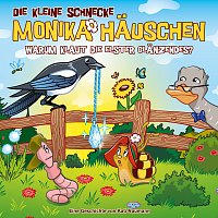 Die kleine Schnecke Monika Hauschen – 71: Warum klaut die Elster Glanzendes?