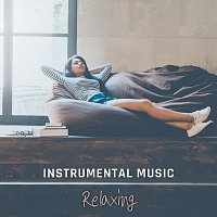 Různí interpreti – Instrumental Music Relaxing