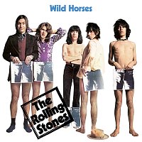 Wild Horses [Acoustic Version]