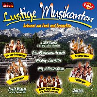Přední strana obalu CD Lustige Musikanten Folge 2