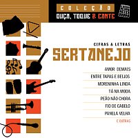 Přední strana obalu CD Colecao Ouca, Toque E Cante - Sertanejo