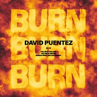 David Puentez – Burn