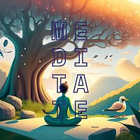 Přední strana obalu CD Meditate