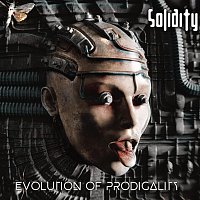 Solidity – Evolution of Prodigality