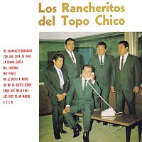Los Rancheritos Del Topo Chico – Me Agarraste Borracho