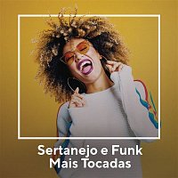 Various  Artists – Sertanejo e Funk Mais Tocadas