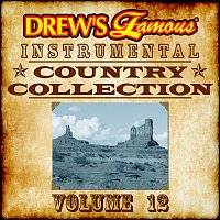 The Hit Crew – Drew's Famous Instrumental Country Collection, Vol. 12