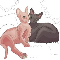 Přední strana obalu CD couches