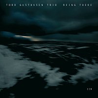 Tord Gustavsen Trio – Being There