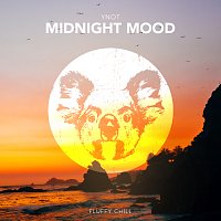 YNOT – Midnight Mood