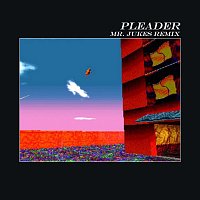 Přední strana obalu CD Pleader [Mr. Jukes Remix]