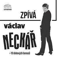 Přední strana obalu CD Václav Neckář zpívá pro mladé