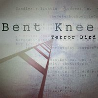 Přední strana obalu CD Terror Bird