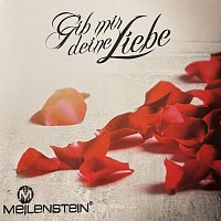 Meilenstein – Gib mir Deine Liebe