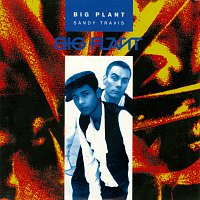 Big Plant – Sandy Travis