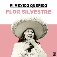 Přední strana obalu CD Mi Mexico Querido