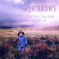 The Shirrows – What Have They Done To The Rain