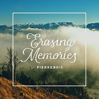 Přední strana obalu CD Erasing Memories (RS Cut)