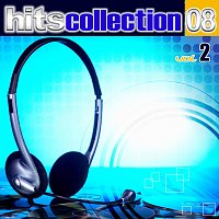 Různí interpreti – Hits Collection 08, Vol. 2