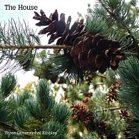 Three-Dimensional Kibbles – The House