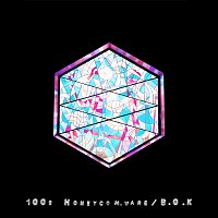 100S – Honeycom.ware / B.O.K