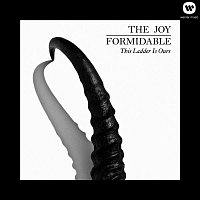 The Joy Formidable – This Ladder Is Ours