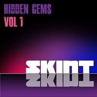 Various Artists.. – Skint Hidden Gems, Vol. 1