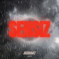 Joshua47 – Sensiz