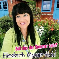 Přední strana obalu CD Soll das der Sommer sein?