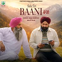 Přední strana obalu CD Baba Teri Baani