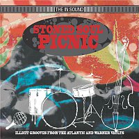 STONED SOUL PICNIC – Stoned Soul Picnic