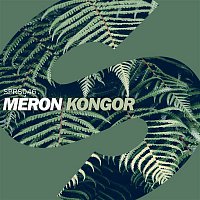 Meron – Kongor