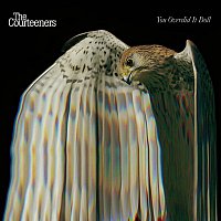 The Courteeners – You Overdid It Doll