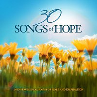 Přední strana obalu CD 30 Songs Of Hope: 30 Instrumental Songs Of Hope And Inspiration