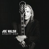 Joe Walsh – Analog Man