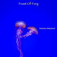 Temporary Underground – Feast of Fury