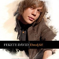 Fekete Dávid – Ébredj fel