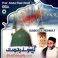 Prof. Abdul Rauf Roofi – Gaisoo-e-Rehmat, Vol. 13