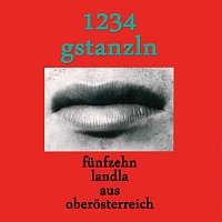 Scheissleitnmusi, Trio Falkner, Die Goas, Simon Geigenmusi, Goiserer Viergesang – 1234 Gstanzln
