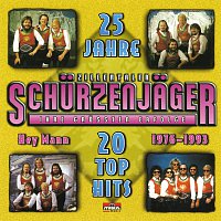 Přední strana obalu CD 20 Top Hits - 25 Jahre