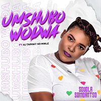 Sdudla Somdantso, DJ Target, Ndile – Umshubo Wodwa