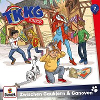 TKKG Junior – 007/Zwischen Gauklern und Ganoven