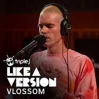 Vlossom – Fast Car [triple j Like A Version]