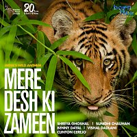 Shreya Ghoshal, Sunidhi Chauhan, Benny Dayal, Vishal Dadlani, Clinton Cerejo – Mere Desh Ki Zameen