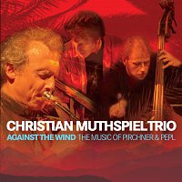 Christian Muthspiel, Franck Tortiller, Georg Breinschmid – Against The Wind