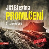 Mgr. Jiří Březina, Jiří Březina – Promlčení