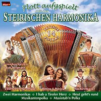 Přední strana obalu CD Flott aufgspielt mit der Steirischen Harmonika