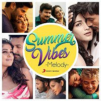 Various  Artists – Summer Vibes: Melody