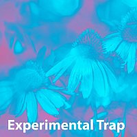 Sandro – Experimental Trap