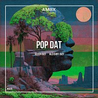 Přední strana obalu CD Pop Dat